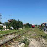 arbori în calea trenurilor