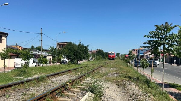 arbori în calea trenurilor