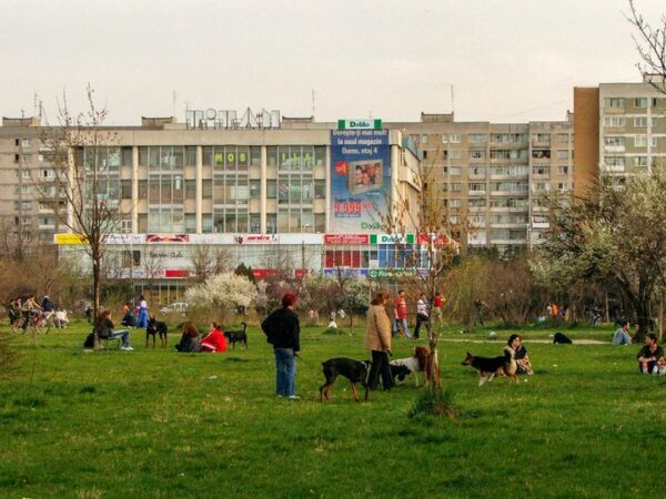 „Capsula” IOR | Sute de mărturii și fotografii, strânse pentru procesul privind anularea retrocedării. Cum arăta zona înainte de distrugere. Foto: Florii, 2005. Andrei Birsan