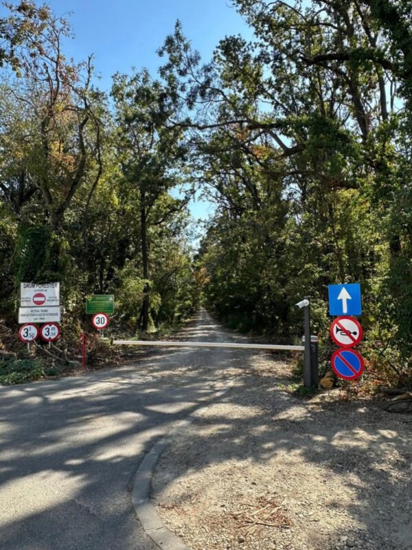 dreptul să circule prin Pădurea Băneasa