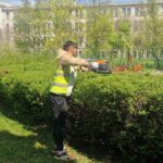 Licitația de zeci de milioane pentru spațiile verzi din Sectorul 1, contestată de peisagiști: Calcule trase la indigo și model administrativ învechit