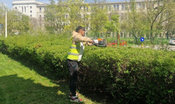 Licitația de zeci de milioane pentru spațiile verzi din Sectorul 1, contestată de peisagiști: Calcule trase la indigo și model administrativ învechit
