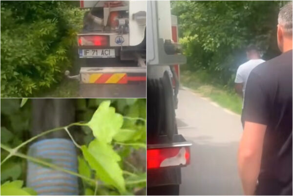 Vidanjă a Consiliului Județean Ilfov surprinsă în timp ce deversa dejecții în Râul Pasărea