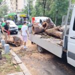 Cum arată Bucureștiul după furtuna de azi noapte. Peste 400 de copaci doborâți și imagini spectaculoase cu Parcul Carol inundat. Foto: PMB