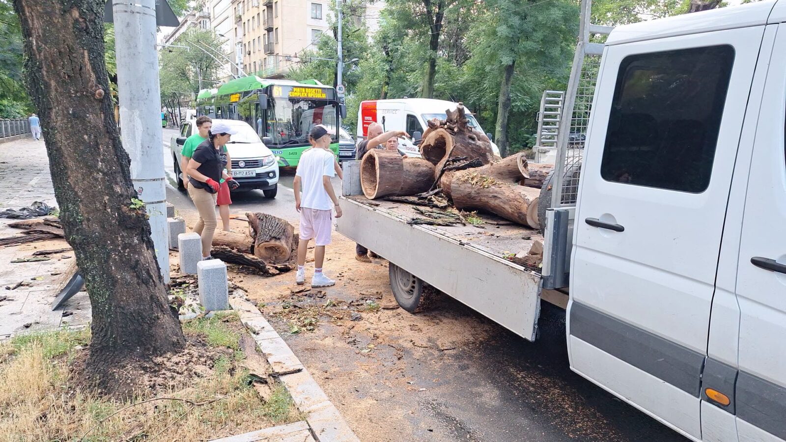 Cum arată Bucureștiul după furtuna de azi noapte. Peste 400 de copaci doborâți și imagini spectaculoase cu Parcul Carol inundat. Foto: PMB