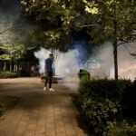 Un nou tratament pentru combaterea țânțarilor adulți va începe în Capitală, în această seară | FOTO: Eco Igienizare