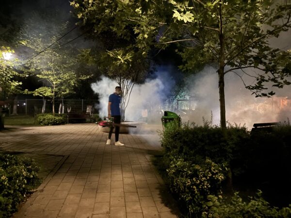Un nou tratament pentru combaterea țânțarilor adulți va începe în Capitală, în această seară | FOTO: Eco Igienizare