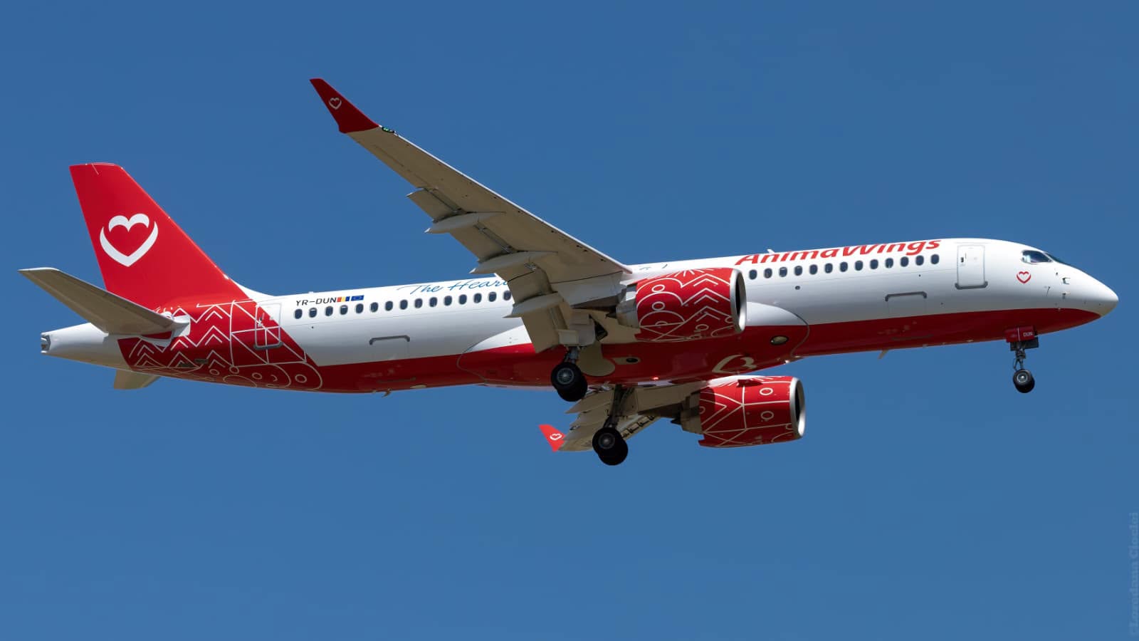AnimaWings lansează mai multe curse către Rotterdam, Viena, Frankfurt 𝐅𝐫𝐚𝐧𝐤𝐟𝐮𝐫𝐭 𝐬̦𝐢 Copenhaga, de saptamana viitoare. FOTO: AnimaWings