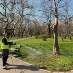 Dezinsecție în Capitală. Compania de igienizare începe noi tratamente împotriva țânțarilor și căpușelor în această seară | FOTO: Eco Igienizare