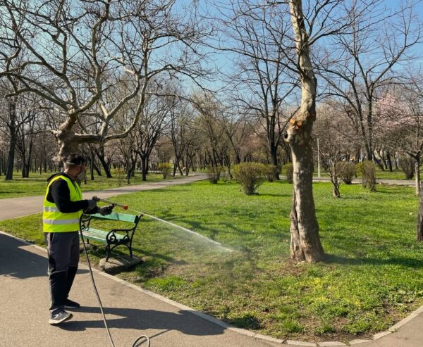 Dezinsecție în Capitală. Compania de igienizare începe noi tratamente împotriva țânțarilor și căpușelor în această seară | FOTO: Eco Igienizare