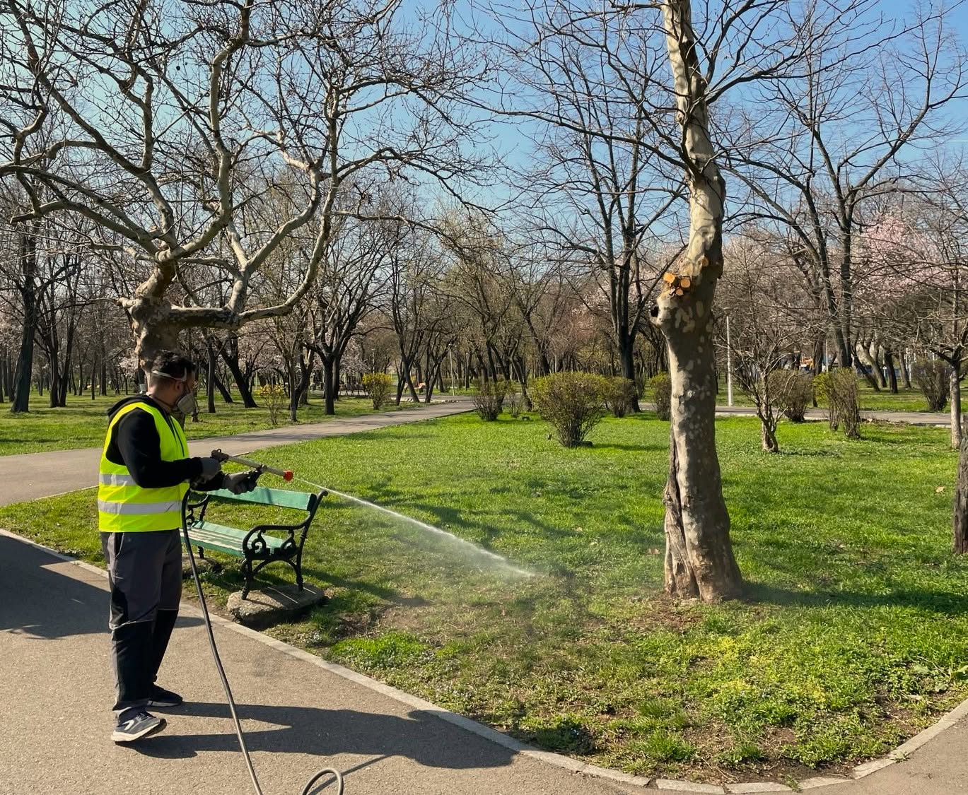 Dezinsecție în Capitală. Compania de igienizare începe noi tratamente împotriva țânțarilor și căpușelor în această seară | FOTO: Eco Igienizare