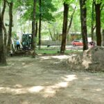 8.000 de metri pătrați de spații verzi din Pajura