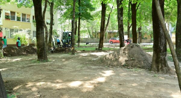 8.000 de metri pătrați de spații verzi din Pajura