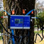 Câte avize emise pentru tăierea și toaletarea arborilor PMB