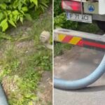 Garda de Mediu amenda poluarea râului Pasărea