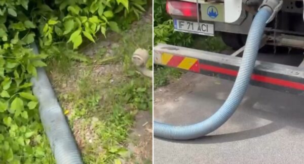 Garda de Mediu amenda poluarea râului Pasărea