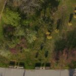 Prima grădină de ploaie din București Parcul Tineretului