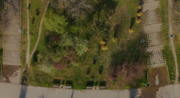 Prima grădină de ploaie din București Parcul Tineretului