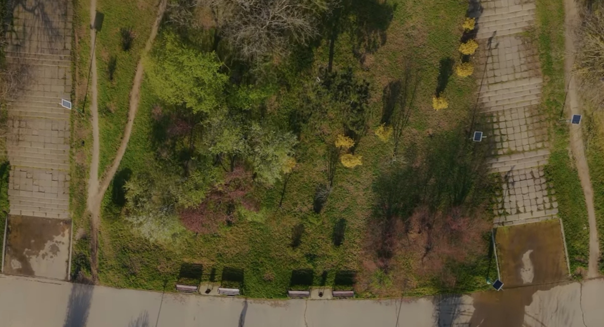Prima grădină de ploaie din București Parcul Tineretului