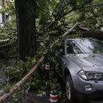 Peste 200 de dosare de daună, înregistrate la Omniasig după furtunile din țară. Cele mai multe solicitări vin din București și Ilfov