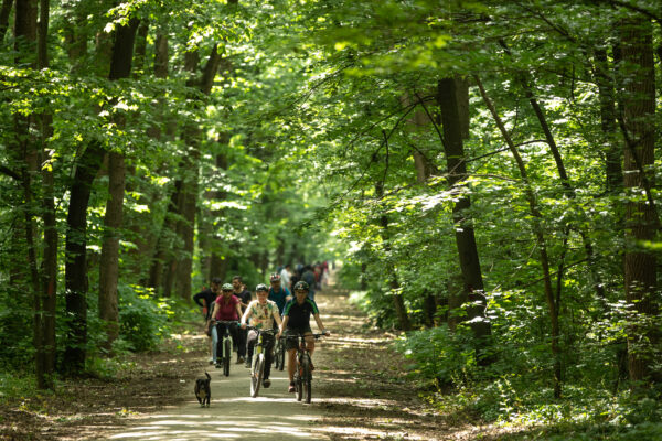 Centura Verde București-Ilfov ar putea fi gata până în 2050. Primăria a introdus proiectul de 50 de milioane de euro în SIDU