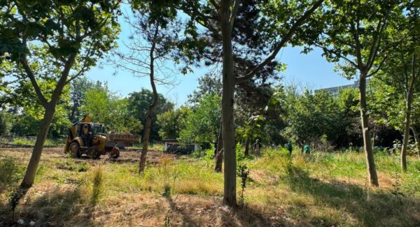 Lucrările de amenajare Parcului Grozăvești
