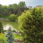 Proiect european Sector 6 biodiversitate
