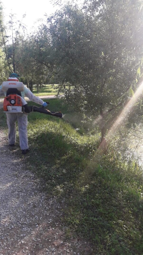 Tratamente de combatere a larvelor de țânțari, în județul Ilfov. Programul „Ilfov fără țânțari" începe din 6 iulie. FOTO: Arhiva