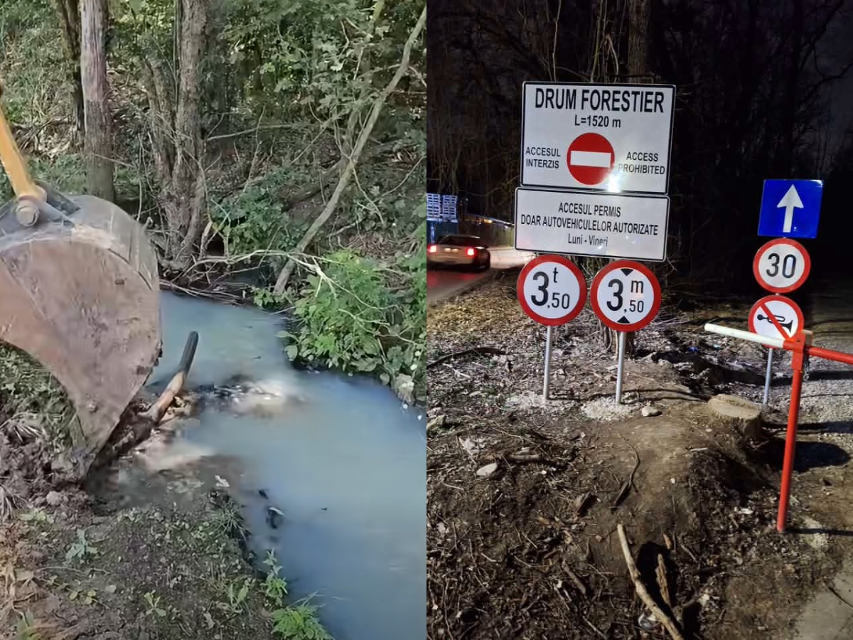 Dejecții deversate ilegal în Pădurea Tunari, de administratorul unui complex rezidențial de lux. Foto: Colaj Garda de Mediu - Fundaţia Eco-Civica