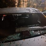 despăgubiri pentru autoturismele distruse