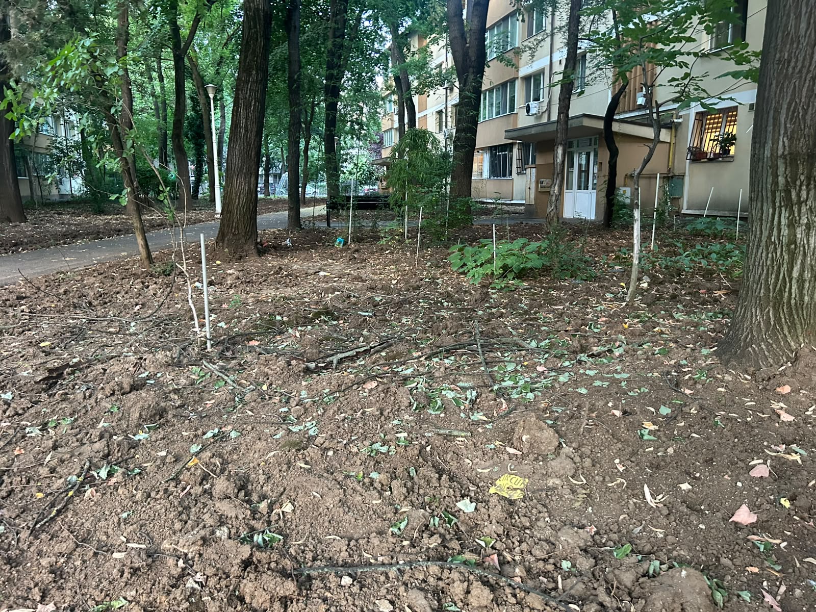 Dezbatere despre problemele locuitorilor din cartierul Pajura. Foto: Cătălin Anghel-Dimache