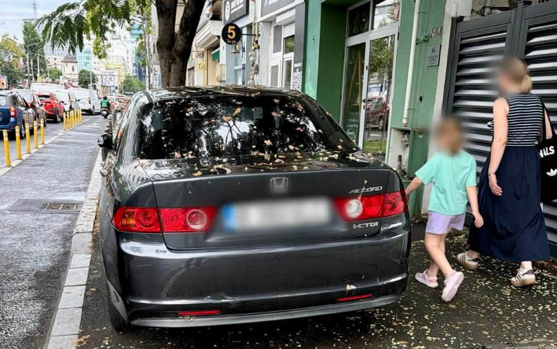 Peste 12.000 de amenzi pentru parcare neregulamentară în București, de la începutul anului. Foto: FB/ PLMB