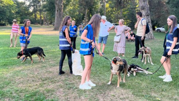 Un nou târg de adopții ASPA, pe 25 iulie, la Palatele Brâncovenești