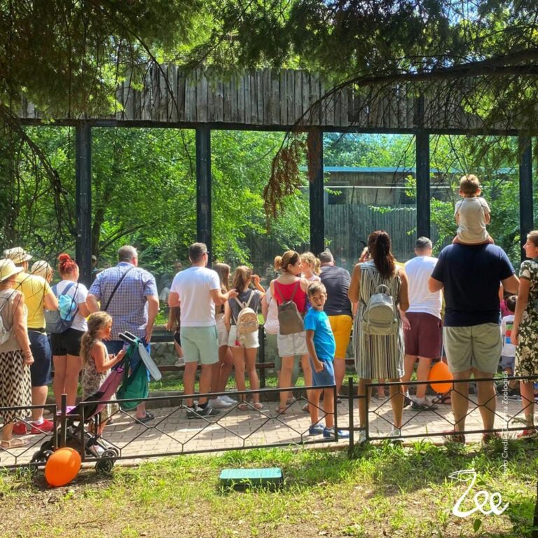 Cum petrecem timpul liber, săptămâna viitoare. Programul evenimentelor din instituțiile culturale ale PMB