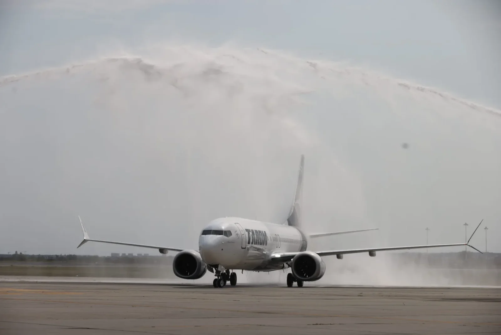 Primul avion nou din ultimii 20 de ani va zbura pe ruta București - Amsterdam. FOTO: tarom.ro