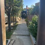 Sterilizări gratuite pentru câinii cu stăpân în trei localități ilfovene, în septembrie. FOTO:Protecția Animalelor CJ Ilfov