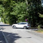 Federația Greenfield îi răspunde Dianei Buzoianu după acuzațiile de „complicitate”: „Prezentați dovezile”