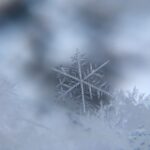 shallow focus photography of snowflake