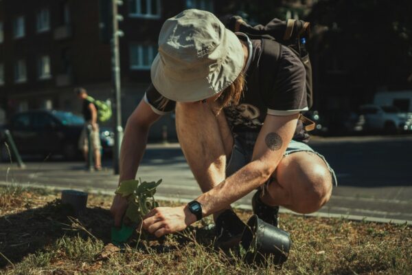 Planurile „guerilla gardening” din Capitală. Cum pot cetățenii să participe la amenajarea spațiilor verzi din oraș. Foto: Jonathan Kemper