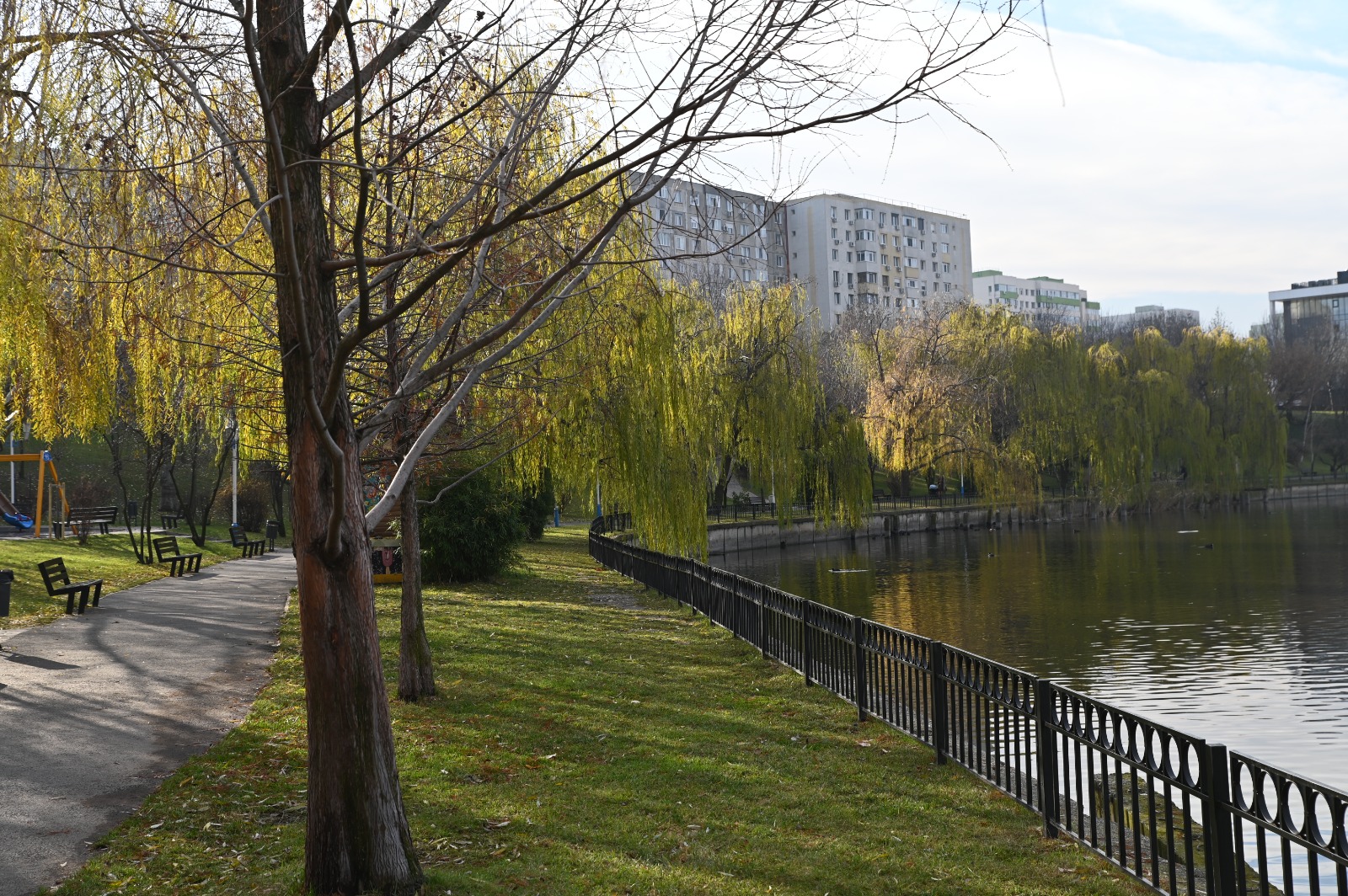 Proiect pentru plantarea a 40.000 arbori în sectorul cu cea mai redusă suprafață de spațiu verde pe cap de locuitor. Foto: FB/ PS2