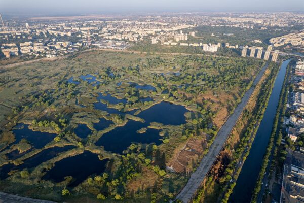 Planul de management al Parcului Natural Văcărești, în consultare publică. Foto: FB/ Ministerul Mediului