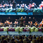 Programul Bucharest Music Film Festival. Imagine de la ediția din 2016. FOTO: Petru Ivu