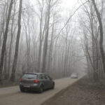 Pădurea Băneasa ar putea deveni parc.