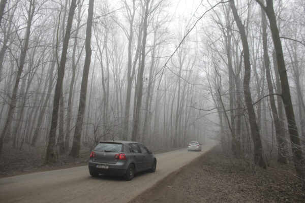 Pădurea Băneasa ar putea deveni parc.