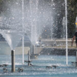 Cod portocaliu de caniculă, în București