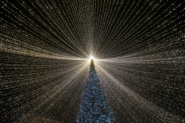 Montarea și demontarea luminițelor de Crăciun în Otopeni și Tunari nu este ieftină. Foto: Inquam Photos / Virgil Simonescu