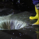 Bilanțul Codului Portocaliu: 45 de intervenții ale pompierilor militari în București și Ilfov