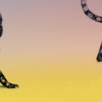 Noaptea filosofiei la București 2024