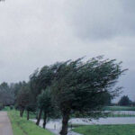 METEO | Cod galben de vânt, în Capitală, până la ora 21:00. FOTO: Arhiva