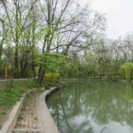 Peste 12 milioane euro pentru reamenajarea Parcului Național. Primăria vrea să obțină finanțare nerambursabilă. Foto: Google Maps